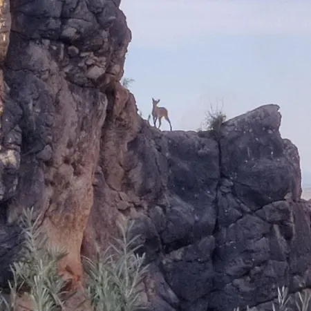 El Mirador * زوهيروس